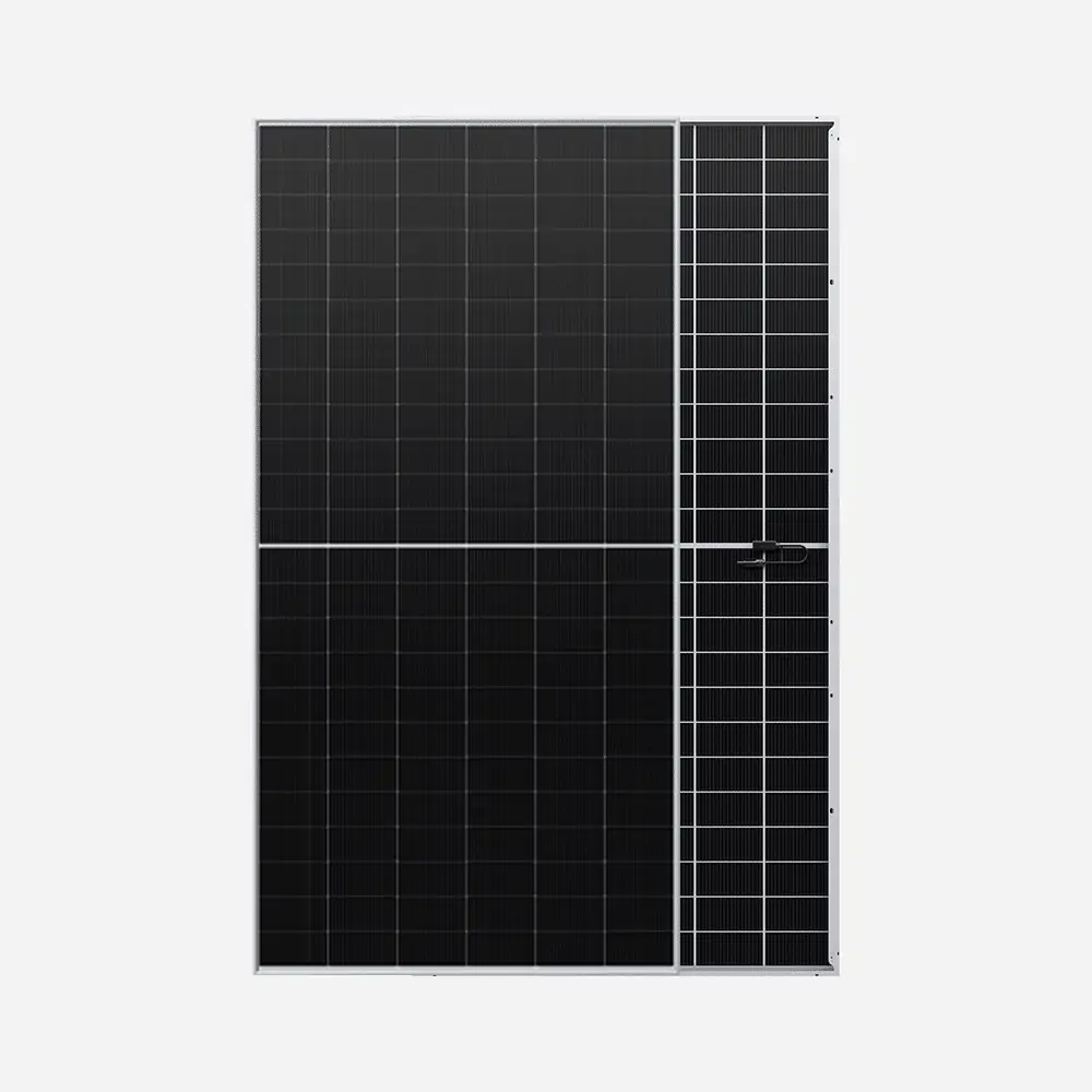 Longi solar Hi-MO7 Bifacial 615W